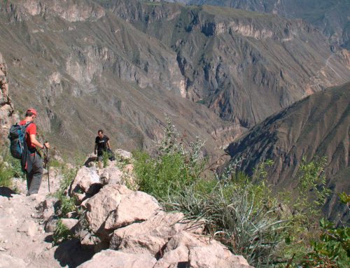 Colca Canyon Tour, Cruz del Condor 4 Days