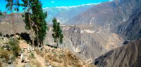 colca canyon tour (3)
