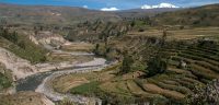 colca canyon tour (4)