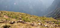 condor flight chonta (2)