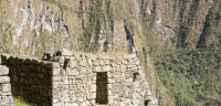 machu picchu tour (4)