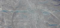 nazca lines tour (3)