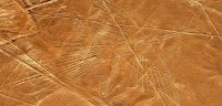 nazca lines tour (5)